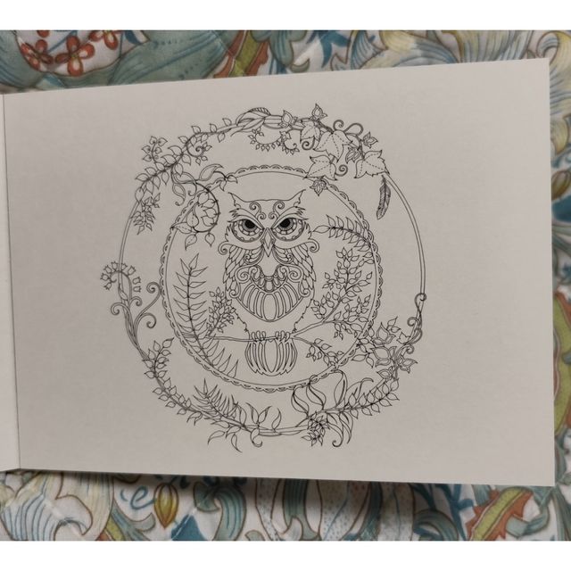 Bosque encantado para colorear. Postales