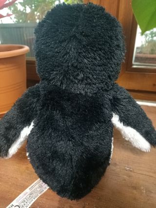 Pinguino lo scaldino