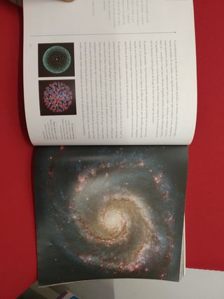 El Libro de los Mandalas.