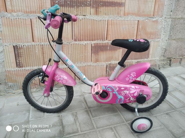 Bicicleta pequeña