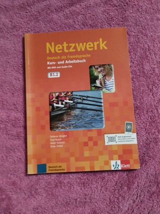 Netzwerk B1.1 Kurs- und Arbeitsbuch 