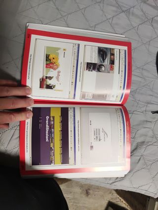 FLASH MX.CURSO DE INICIACION