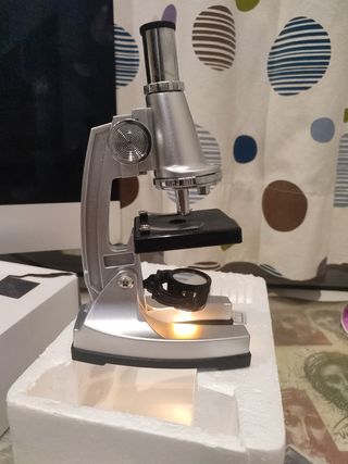 Microscopio 