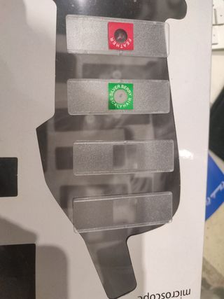 Microscopio 