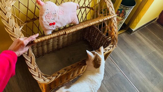 Asiento baúl mimbre