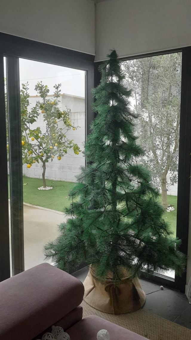 Árbol de navidad
