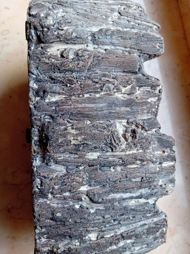 Vaso corteccia in cemento