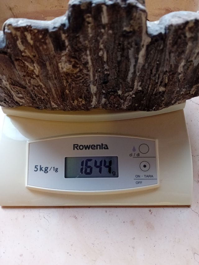 Vaso corteccia in cemento