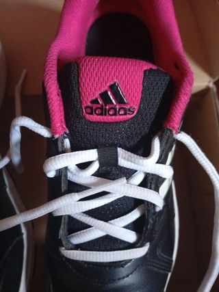 Tenis