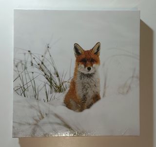 Cuadros animales invernales