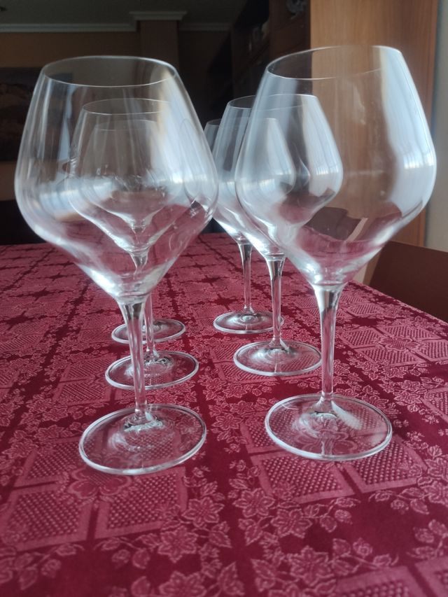 6 copas balón vino o gin tonic