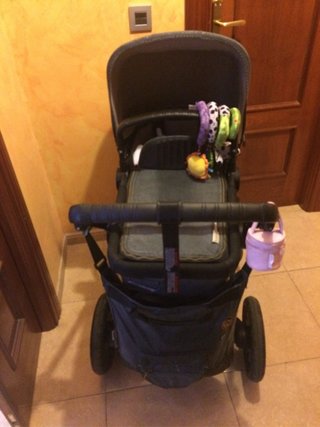 Bugaboo bufalo