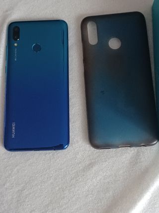 Cellulare