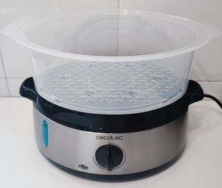 Vaporera eléctrica CECOTEC