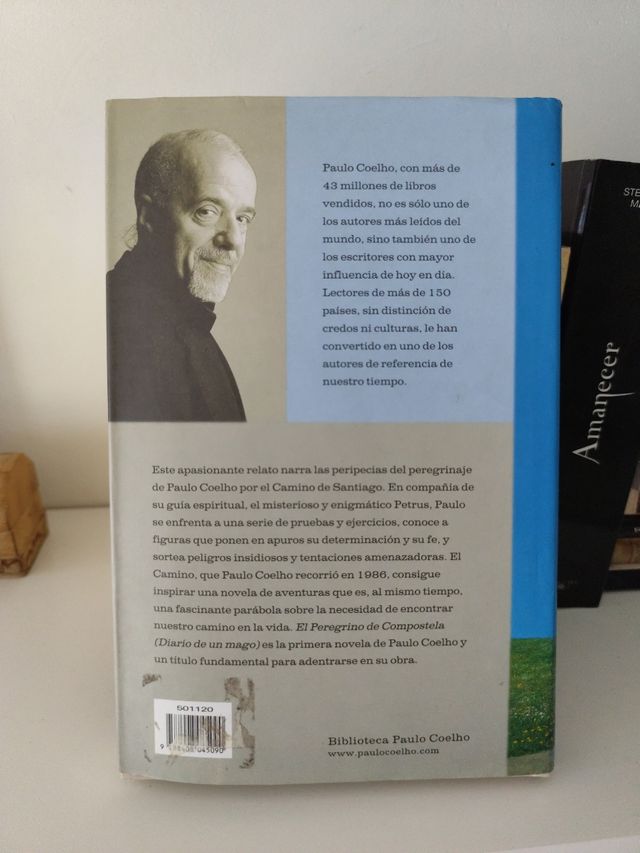 El libro El peregrino de Compostela