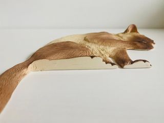 Gatto siamese da parete