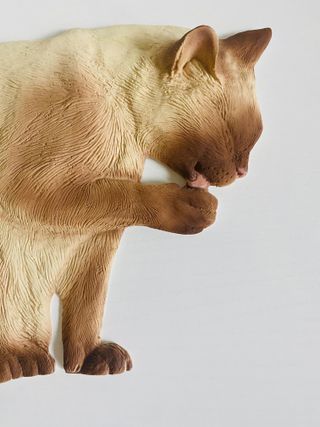 Gatto siamese da parete