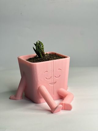 Maceta plantas