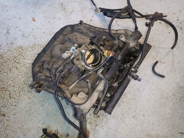 Colector admisión Citroen Xsara