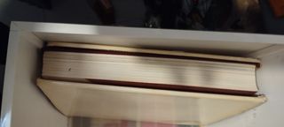 Historia universal del arte siglo XX