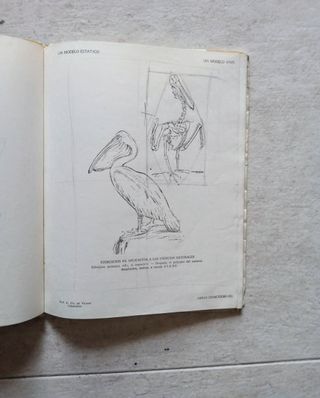 Libro de dibujo 1962 prof Gil de Vicario
