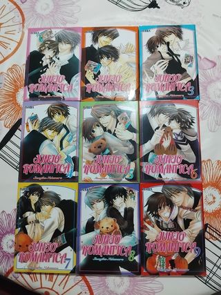 Manga Junjo Romantica