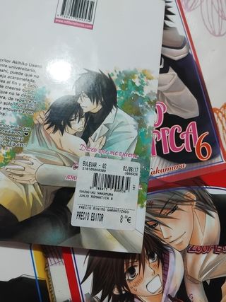 Manga Junjo Romantica