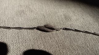 Pulsera de plata con circonitas