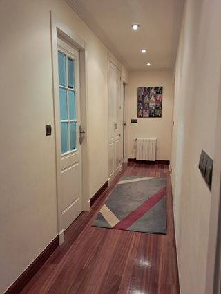 Alfombras entrada y pasillo