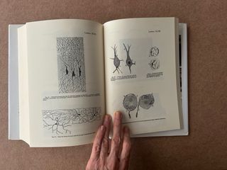 Cajal: Un grito por la ciencia