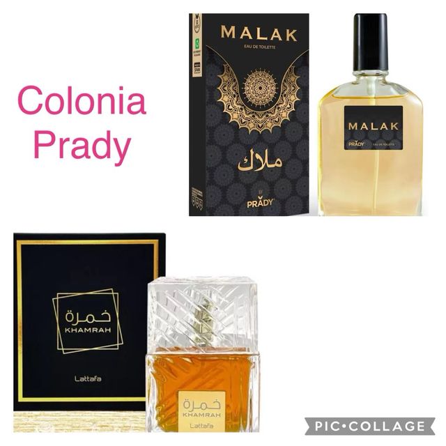 Colonia prady