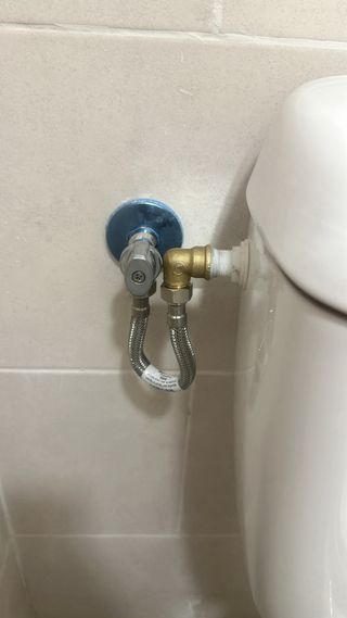 MANITAS 