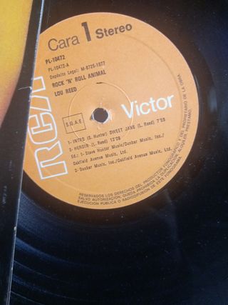 Lou reed:rock n roll animal