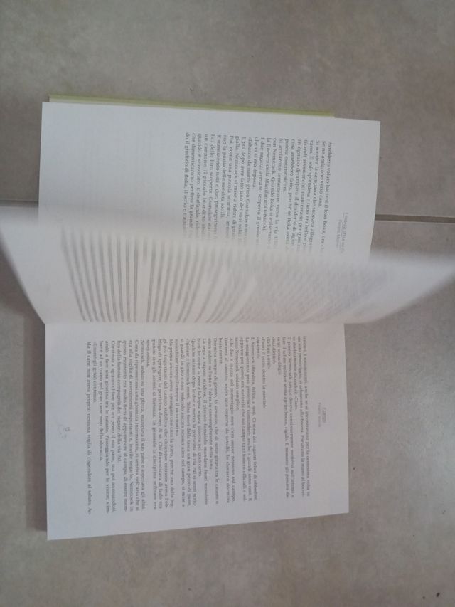 Libro I ragazzi della via pal