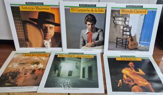 Colección MAESTROS DEL FLAMENCO: 30 vinilos+libro.