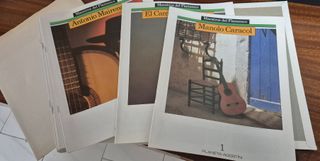 Colección MAESTROS DEL FLAMENCO: 30 vinilos+libro.