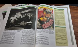 Colección MAESTROS DEL FLAMENCO: 30 vinilos+libro.