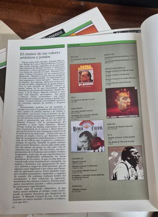 Colección MAESTROS DEL FLAMENCO: 30 vinilos+libro.