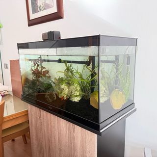 Acuario Acuatlantis 140L