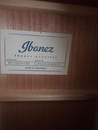 Guitarra electroacustica