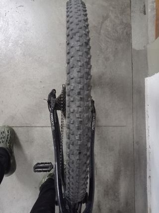 Bici de carbono