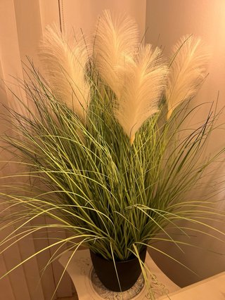 Planta sintetica junco jopo