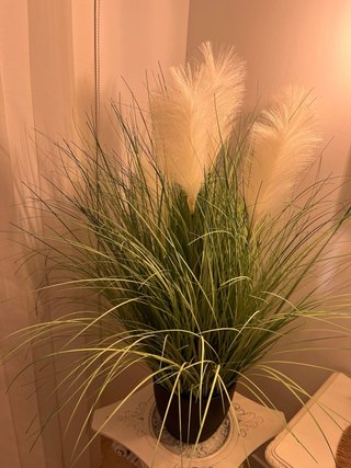 Planta sintetica junco jopo