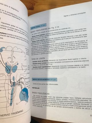 Neurologia practica