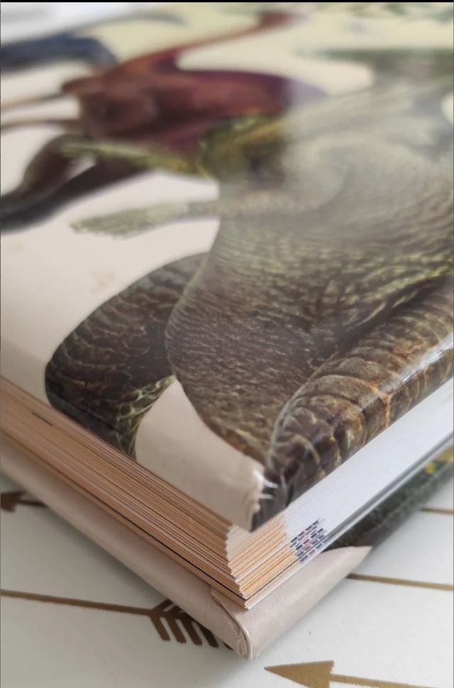 OFERTA : PACK LIBROS DINOSAURIOS