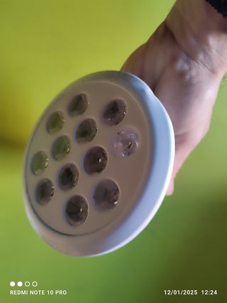 Bombilla crecimiento plantas