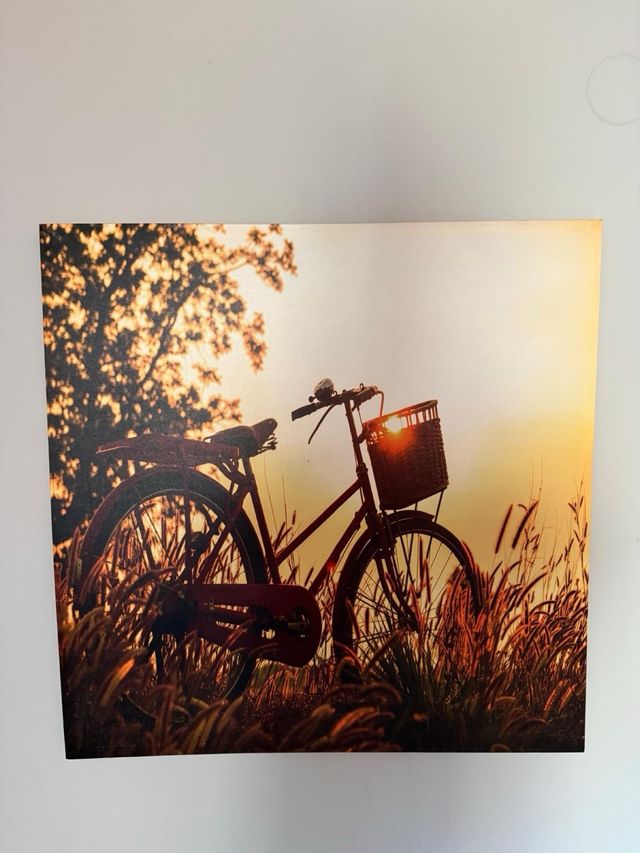 lienzo bicicleta