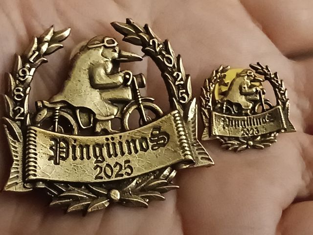 Pin y medalla pingüinos 2025