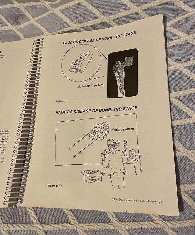 Pathology Made Ridiculously Simple 