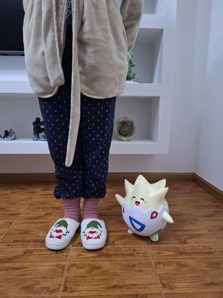 Togapi pokemon